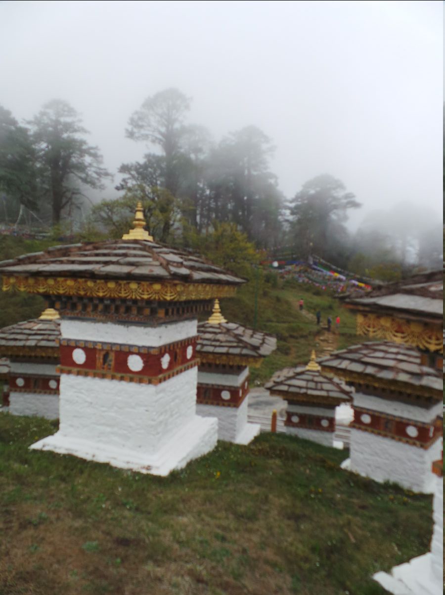 Dochula Pass12